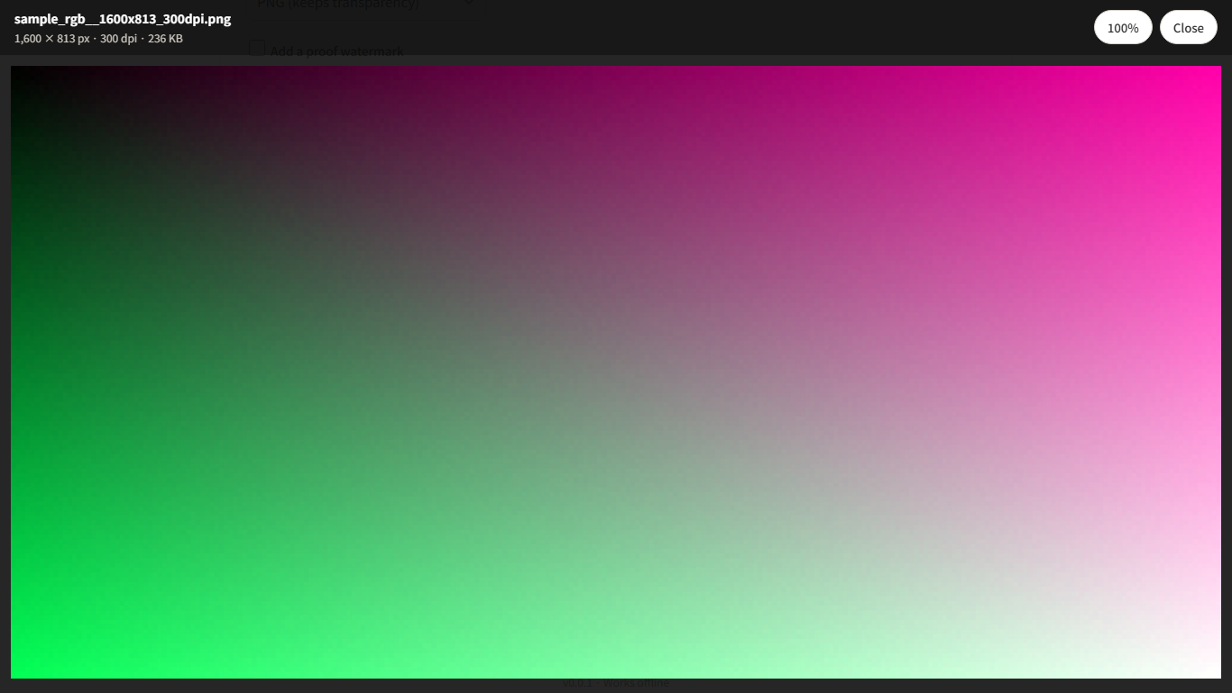 Full-size preview of an exported file opened from the results list